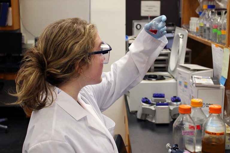 Majors and Minors | Undergraduate Academic Programs