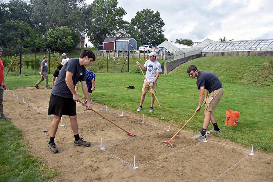 Students rake and treat soil