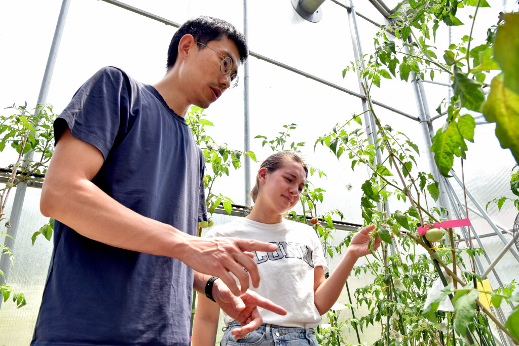 two people examine a plant
