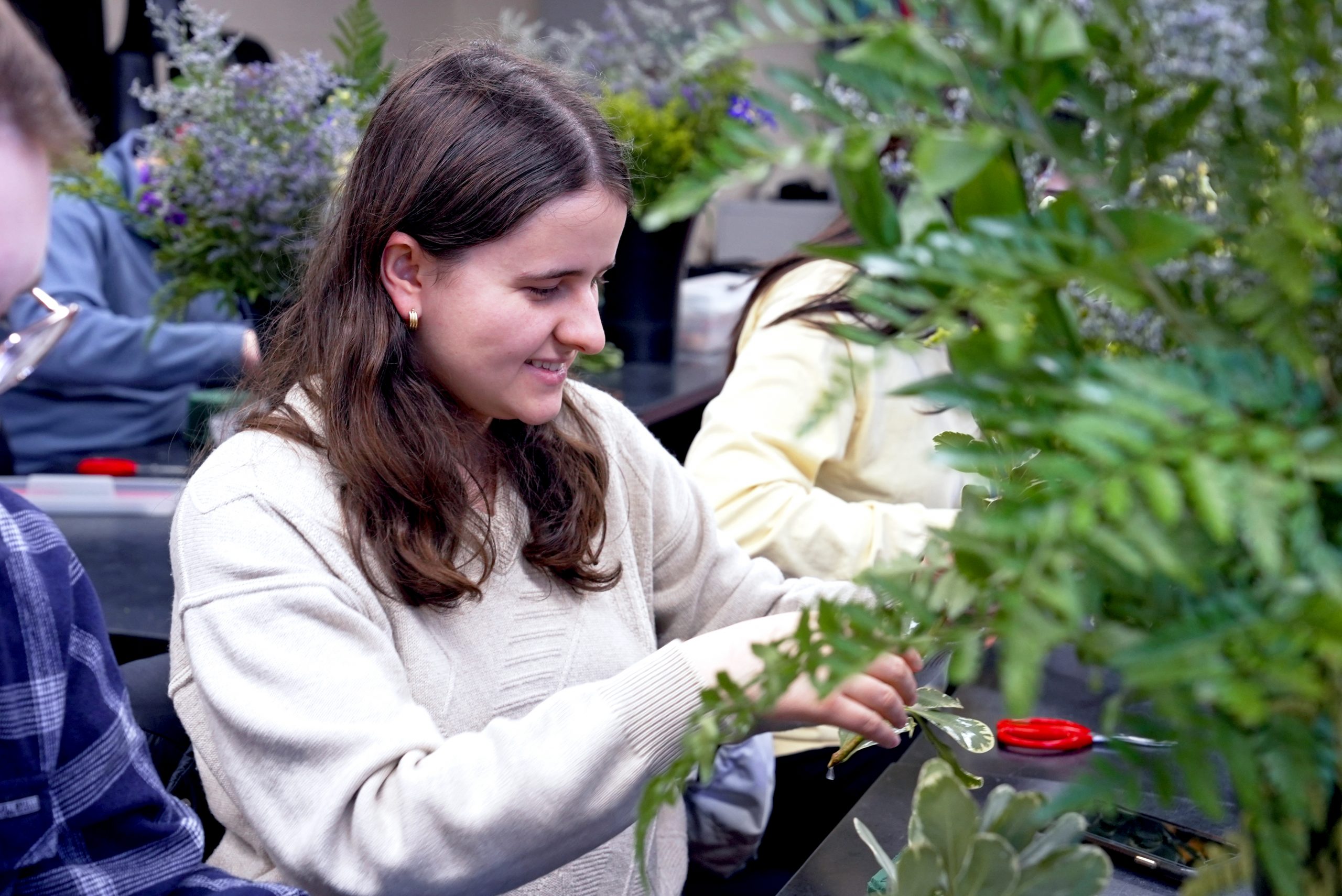 Students in Floral Arts (SPSS 2520/SAPL 520), taught by Justine Ramsey of the Department of Plant Science and Landscape Architecture (PSLA) in the College of Agriculture, Health and Natural Resources (CAHNR) create long and low floral arrangements in a classroom in the Floriculture Greenhouse (FG). Feb. 25, 2025. (Jason Sheldon/UConn Photo)